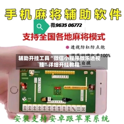 辅助开挂工具“微信小程序微乐透视挂	”详细开挂教程-第2张图片