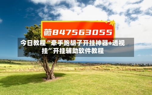 今日教程“牵手跑胡子开挂神器+透视挂”开挂辅助软件教程-第2张图片