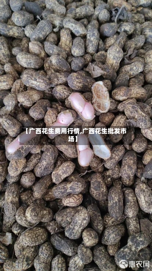 【广西花生费用行情,广西花生批发市场】-第2张图片