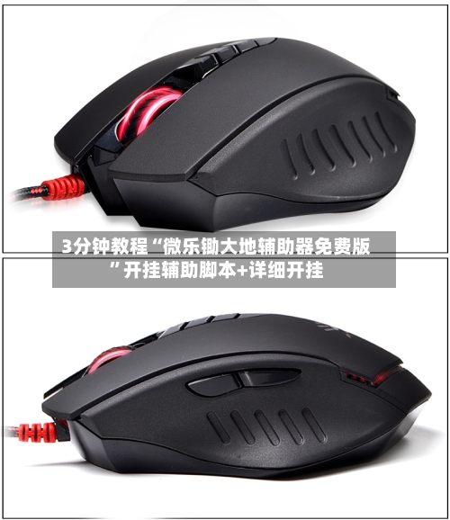 3分钟教程“微乐锄大地辅助器免费版	”开挂辅助脚本+详细开挂-第2张图片