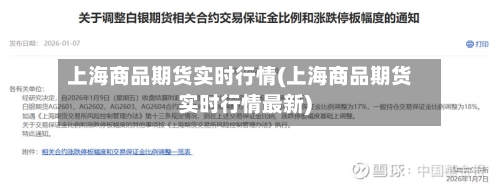 上海商品期货实时行情(上海商品期货实时行情最新)