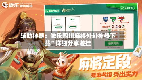 辅助神器：微乐四川麻将外卦神器下载	”详细分享装挂-第2张图片