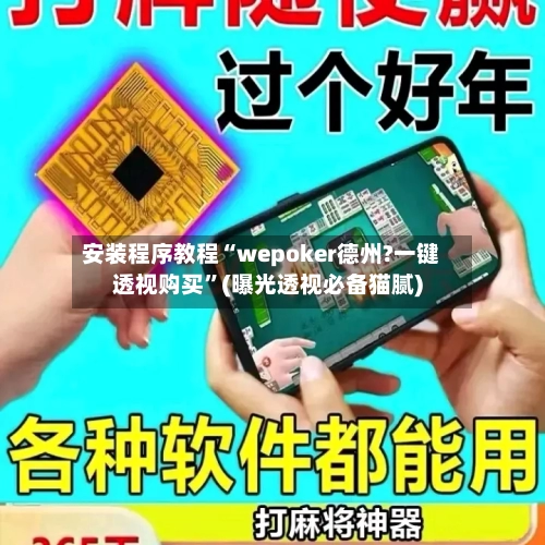 安装程序教程“wepoker德州?一键透视购买”(曝光透视必备猫腻)