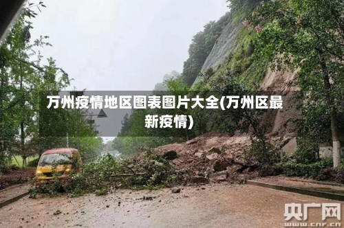 万州疫情地区图表图片大全(万州区最新疫情)-第2张图片