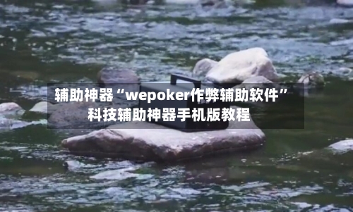 辅助神器“wepoker作弊辅助软件”科技辅助神器手机版教程-第3张图片