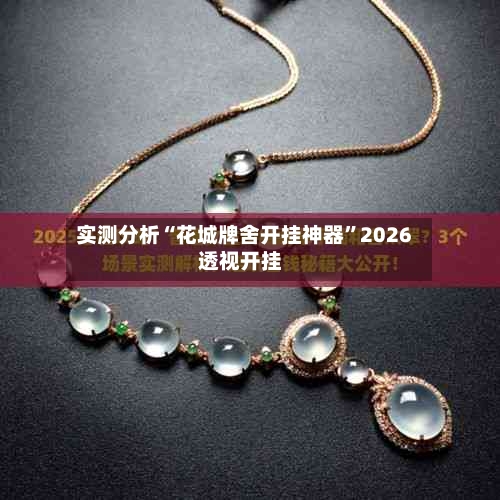 实测分析“花城牌舍开挂神器”2026透视开挂