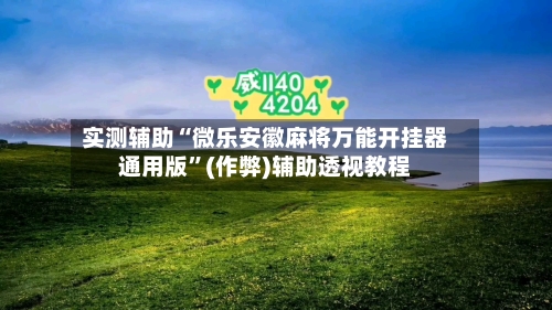 实测辅助“微乐安徽麻将万能开挂器通用版”(作弊)辅助透视教程-第3张图片