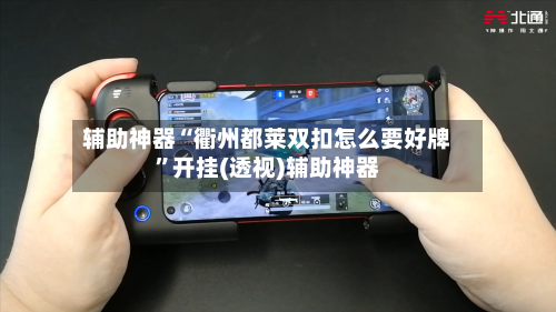 辅助神器“衢州都莱双扣怎么要好牌”开挂(透视)辅助神器