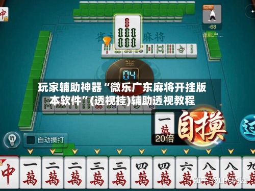 玩家辅助神器“微乐广东麻将开挂版本软件”(透视挂)辅助透视教程-第3张图片