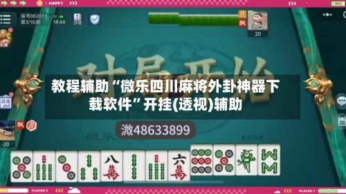 教程辅助“微乐四川麻将外卦神器下载软件”开挂(透视)辅助-第2张图片
