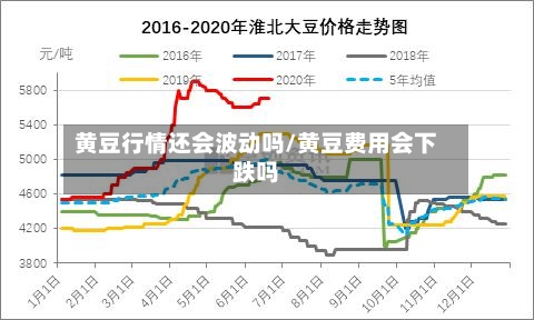 黄豆行情还会波动吗/黄豆费用会下跌吗