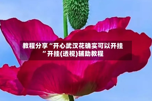 教程分享“开心武汉花确实可以开挂”开挂(透视)辅助教程