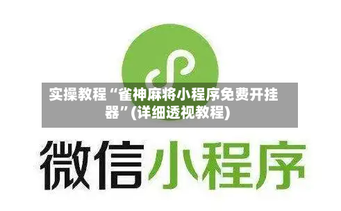 实操教程“雀神麻将小程序免费开挂器”(详细透视教程)-第2张图片