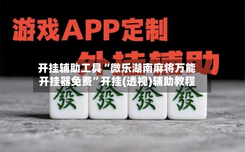 开挂辅助工具“微乐湖南麻将万能开挂器免费	”开挂(透视)辅助教程-第2张图片