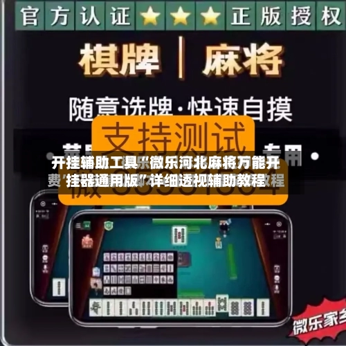 开挂辅助工具“微乐河北麻将万能开挂器通用版”详细透视辅助教程-第2张图片