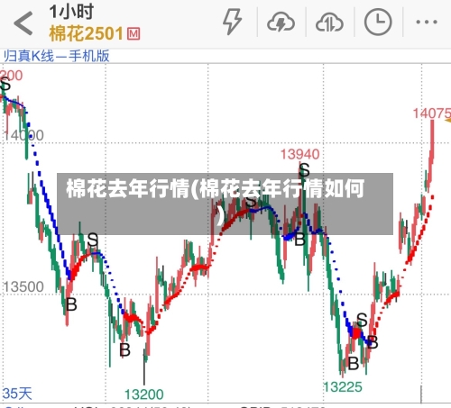 棉花去年行情(棉花去年行情如何)-第2张图片