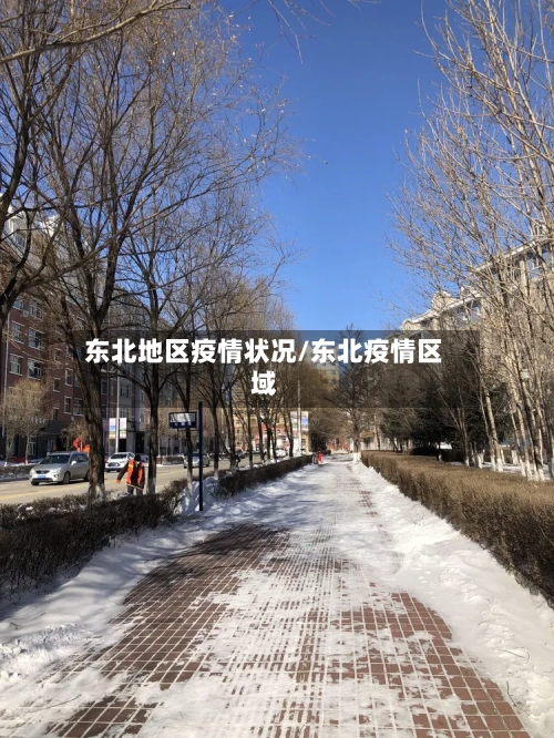 东北地区疫情状况/东北疫情区域-第2张图片