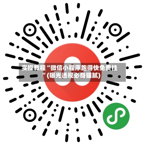 实操教程“微信小程序跑得快免费挂”(曝光透视必备猫腻)