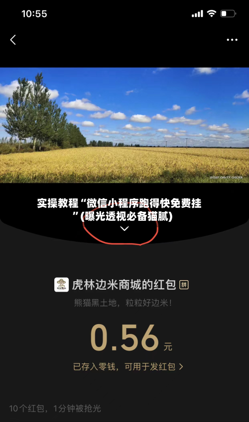 实操教程“微信小程序跑得快免费挂	”(曝光透视必备猫腻)-第2张图片