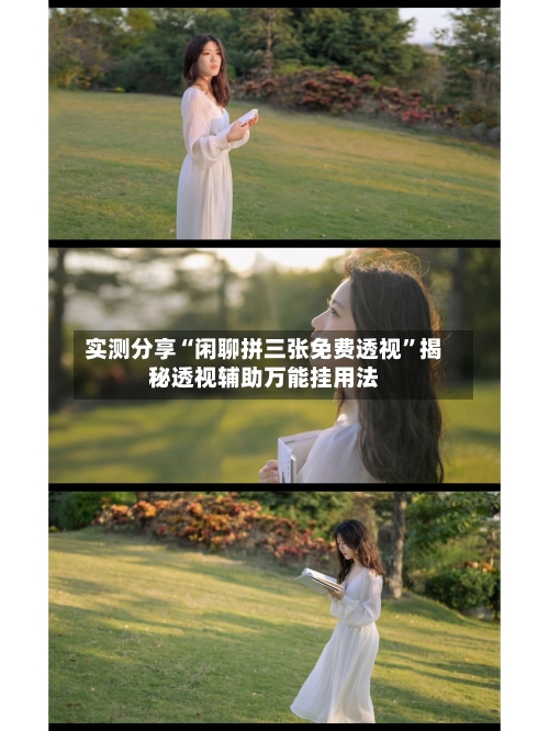 实测分享“闲聊拼三张免费透视”揭秘透视辅助万能挂用法-第2张图片
