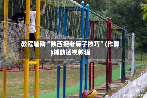 教程辅助“陕西捉老麻子技巧”(作弊)辅助透视教程