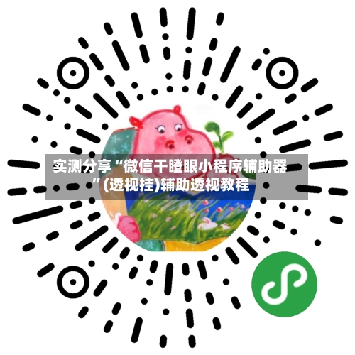 实测分享“微信干瞪眼小程序辅助器”(透视挂)辅助透视教程-第2张图片