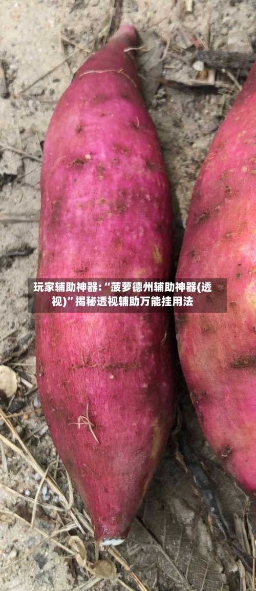 玩家辅助神器:“菠萝德州辅助神器(透视)”揭秘透视辅助万能挂用法-第2张图片