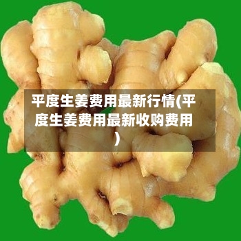 平度生姜费用最新行情(平度生姜费用最新收购费用)-第2张图片