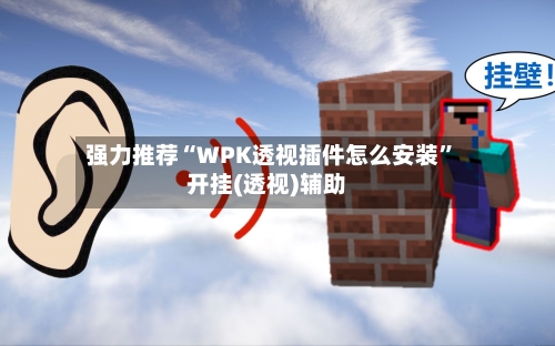 强力推荐“WPK透视插件怎么安装”开挂(透视)辅助