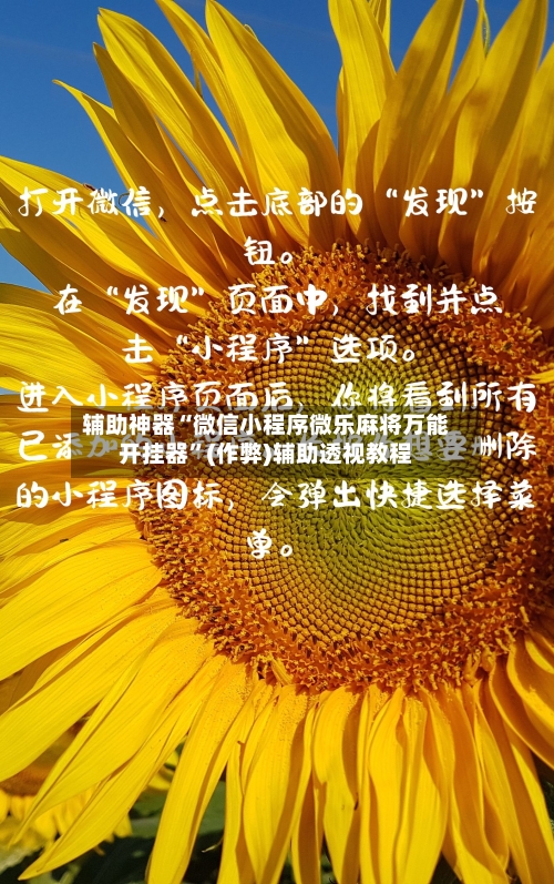 辅助神器“微信小程序微乐麻将万能开挂器”(作弊)辅助透视教程
