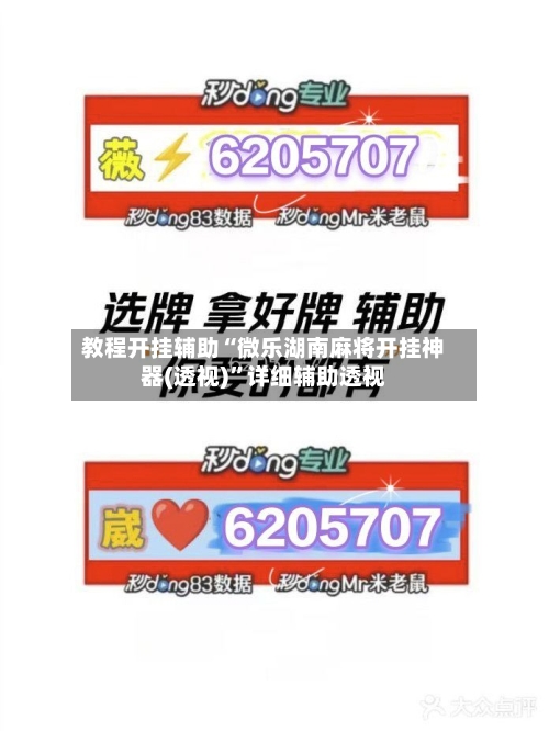 教程开挂辅助“微乐湖南麻将开挂神器(透视)”详细辅助透视