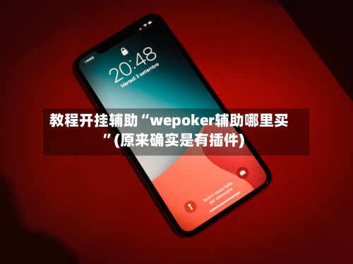 教程开挂辅助“wepoker辅助哪里买	”(原来确实是有插件)-第2张图片