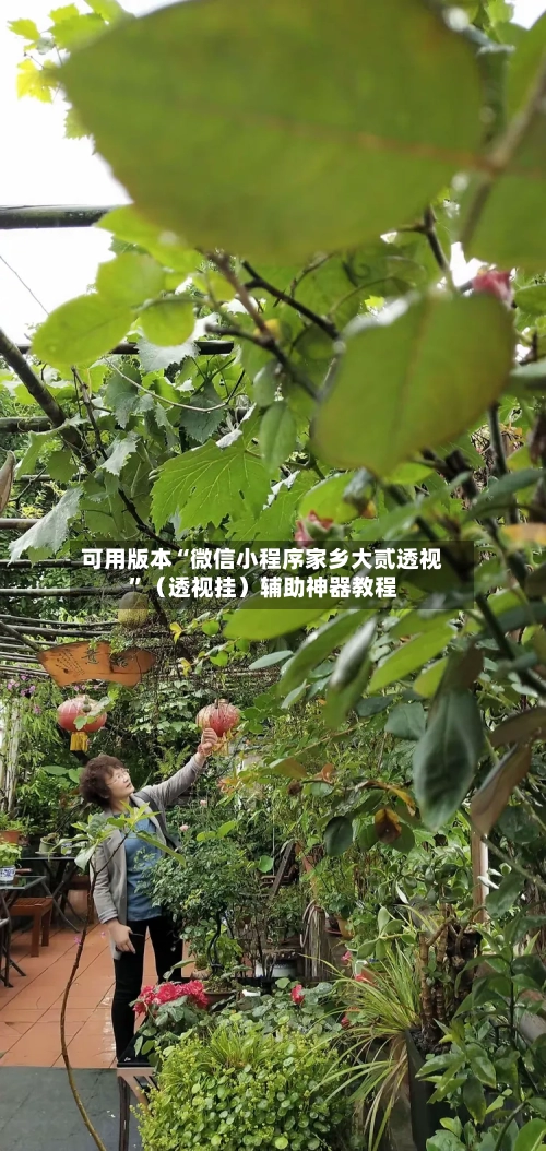 可用版本“微信小程序家乡大贰透视”（透视挂）辅助神器教程-第2张图片