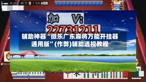 辅助神器“微乐广东麻将万能开挂器通用版”(作弊)辅助透视教程-第3张图片