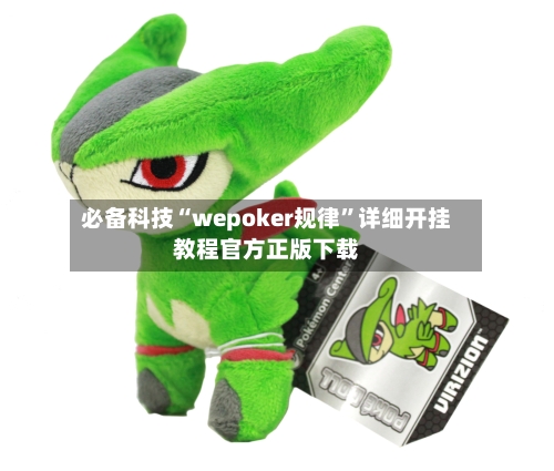 必备科技“wepoker规律”详细开挂教程官方正版下载-第2张图片