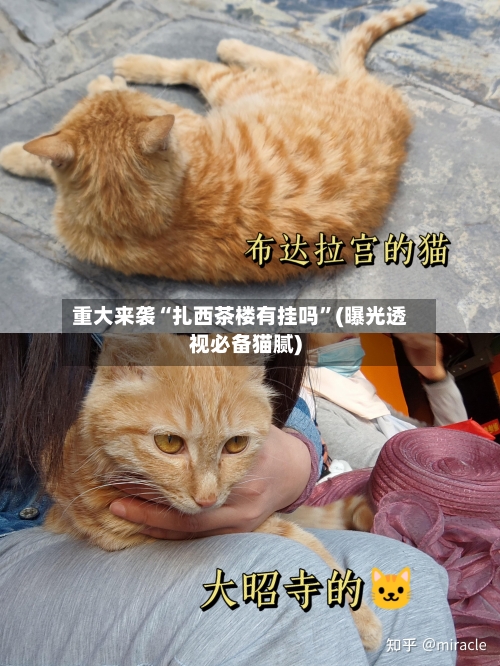 重大来袭“扎西茶楼有挂吗”(曝光透视必备猫腻)