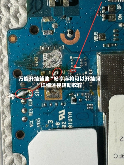 万能开挂辅助“畅享麻将可以开挂吗	”详细透视辅助教程-第2张图片