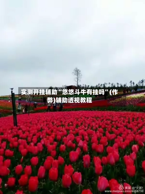 实测开挂辅助“悠悠斗牛有挂吗”(作弊)辅助透视教程