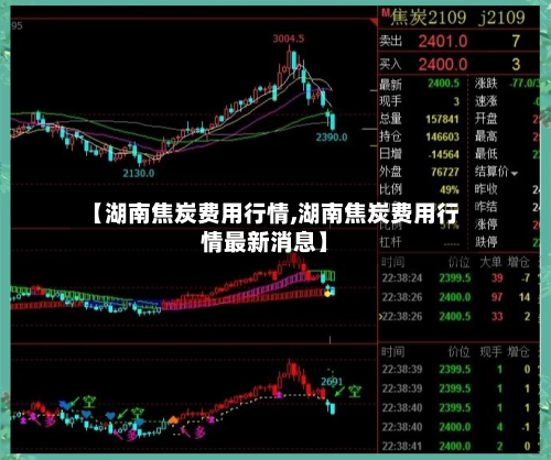 【湖南焦炭费用行情,湖南焦炭费用行情最新消息】
