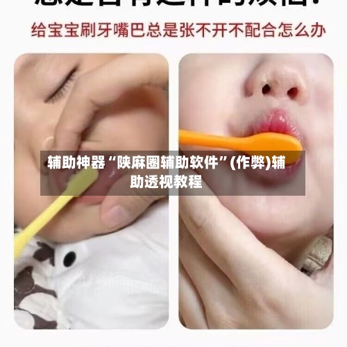 辅助神器“陕麻圈辅助软件”(作弊)辅助透视教程-第2张图片