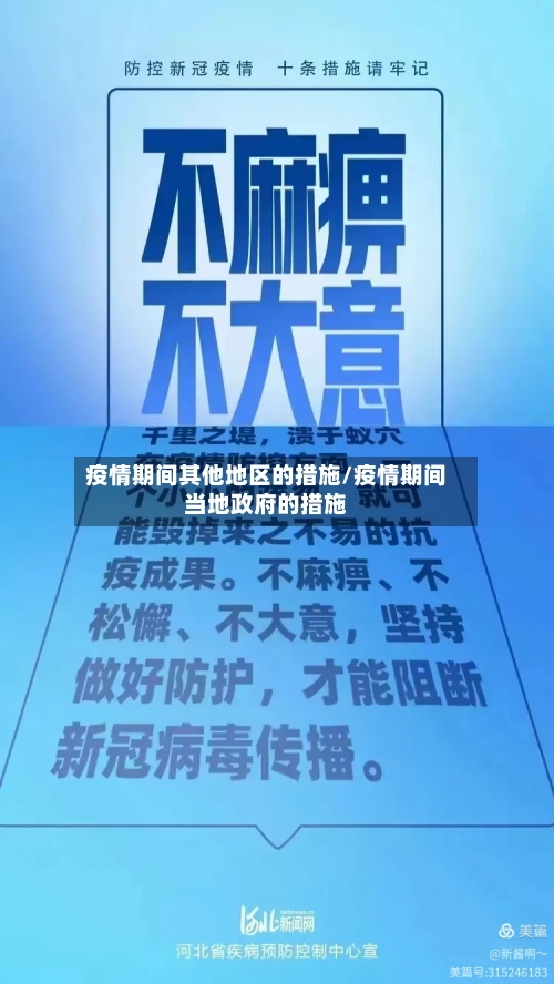 疫情期间其他地区的措施/疫情期间当地政府的措施