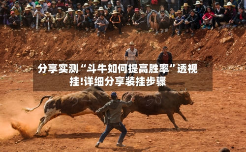分享实测“斗牛如何提高胜率	”透视挂!详细分享装挂步骤-第2张图片