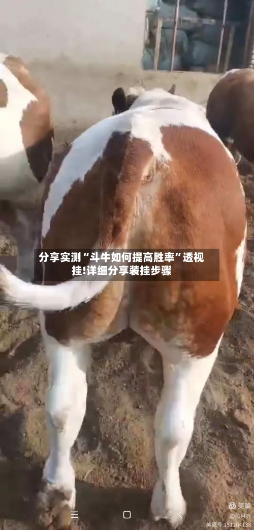 分享实测“斗牛如何提高胜率”透视挂!详细分享装挂步骤-第3张图片