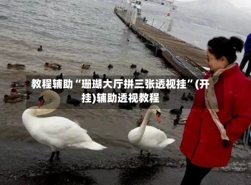 教程辅助“珊瑚大厅拼三张透视挂”(开挂)辅助透视教程