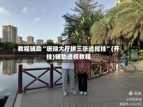教程辅助“珊瑚大厅拼三张透视挂”(开挂)辅助透视教程-第2张图片