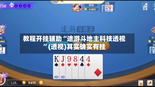 教程开挂辅助“途游斗地主科技透视”(透视)其实确实有挂-第2张图片