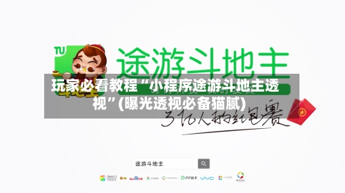 玩家必看教程“小程序途游斗地主透视”(曝光透视必备猫腻)-第2张图片
