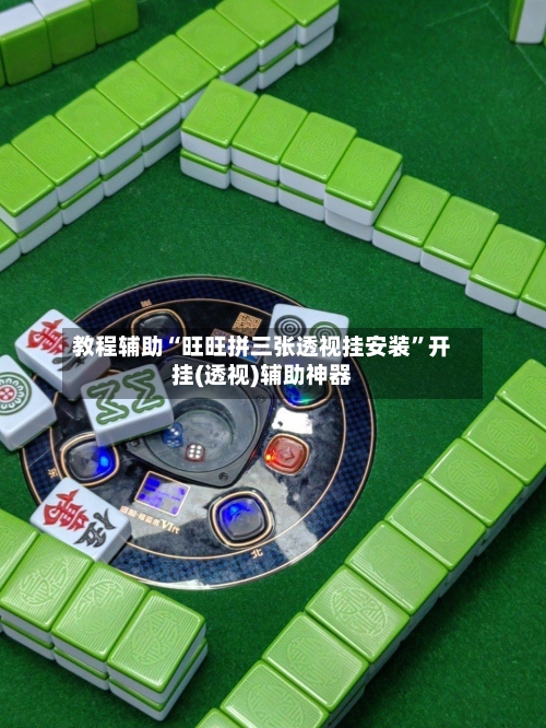 教程辅助“旺旺拼三张透视挂安装	”开挂(透视)辅助神器-第2张图片