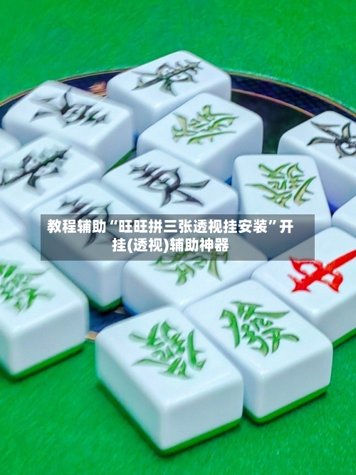 教程辅助“旺旺拼三张透视挂安装”开挂(透视)辅助神器-第3张图片