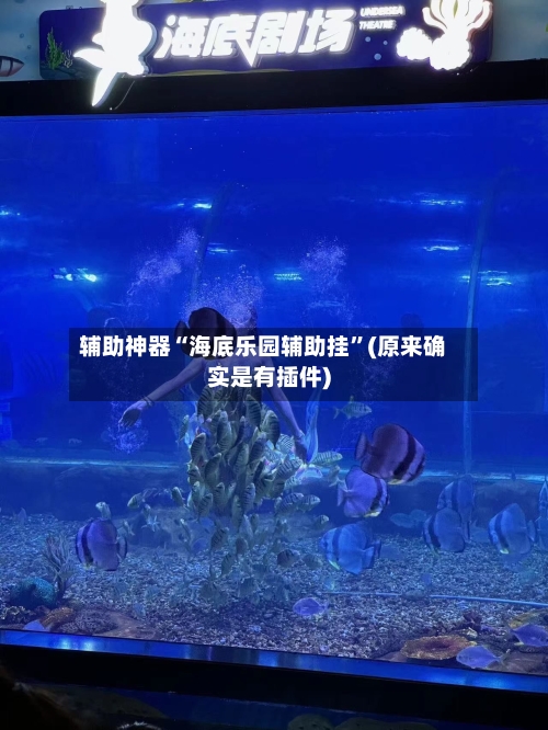 辅助神器“海底乐园辅助挂”(原来确实是有插件)-第2张图片